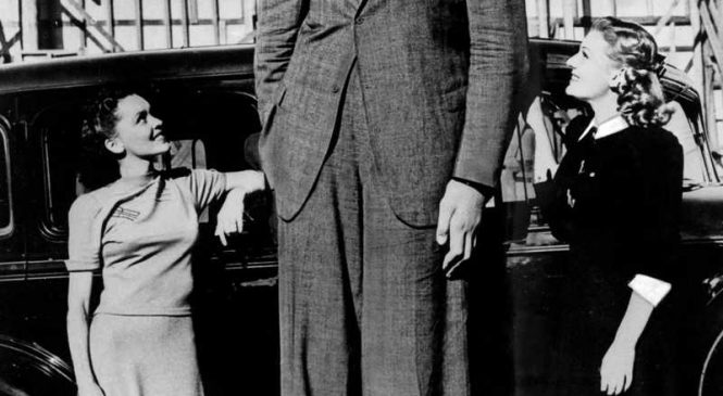 Роберт Уодлоу – самый высокий человек в истории
