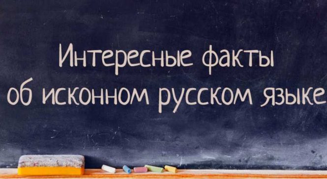 Интересные факты об исконном русском языке